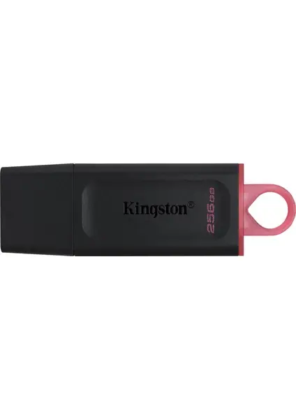 Kingston DTX/256GB DataTraveler Exodia 256 GB USB 3.2 Gen 1 Flash Bellek