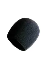 Lastvoice SP-01 - BM800 Mikrofon Süngeri